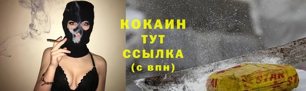СК Пересвет