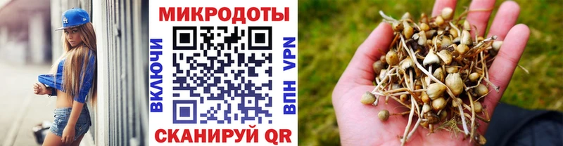 Псилоцибиновые грибы Psilocybine cubensis  Видное 